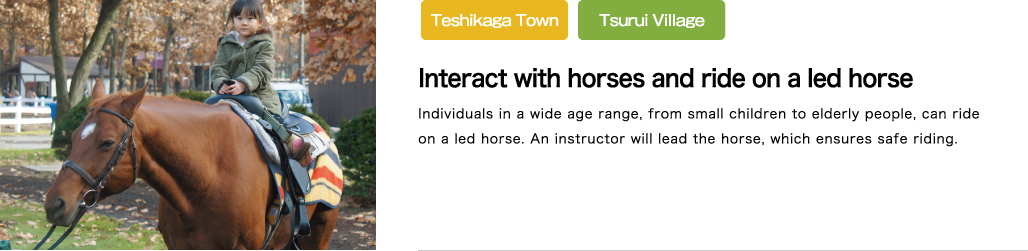 Interact with horses and ride on a led horse