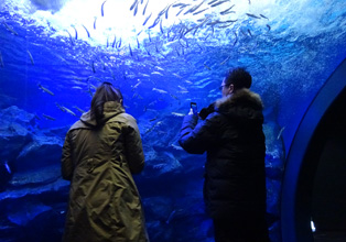 Northland Aquarium (Kita-no-Daichi Aquarium)