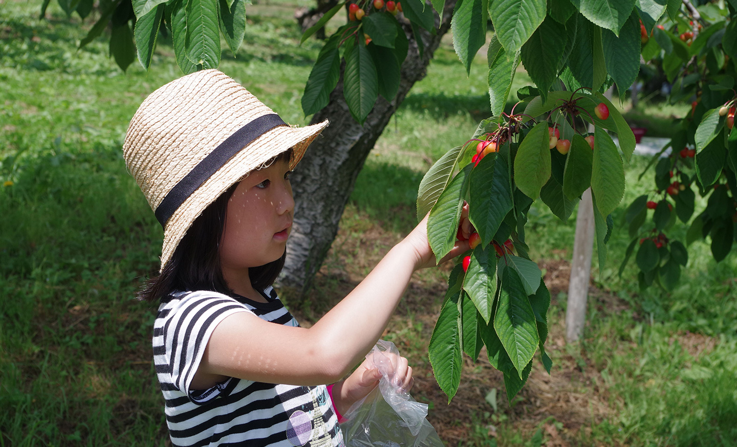 Abashiri Sightseeing Fruit Farm